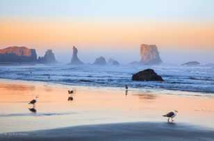 Bandon Beach-3142